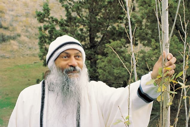 Rajneesh 